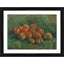Generic Still Life with Apples 1887 Painting With Wood Photo Frame (Multicolor)