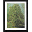 Generic Horse Chestnut Tree in Blossom 1887 Painting With Wood Photo Frame (Multicolor)