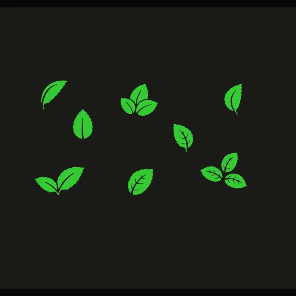 Generic Green Decorative Radium Wall Sticker Main image