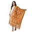 Generic Women's Cotton Printed Dupatta (Rust, Length: Free Size)