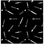 Generic Men's Casual Floral Printed Cotton Blend Unstitched Shirt Fabric 1.6 Mtrs (Black)