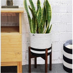 Generic Cotton Large Woven Storage Basket 10x10 Inch Pack of 1 (Black &amp; White)