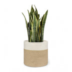 Generic Cotton Large Woven Storage Basket 11x11 Inch Pack of 1 (Beige White)