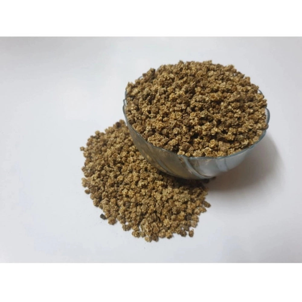 Generic Beetroot Microgreen Seeds – Easy to Grow, Rich in Nutrients Main image